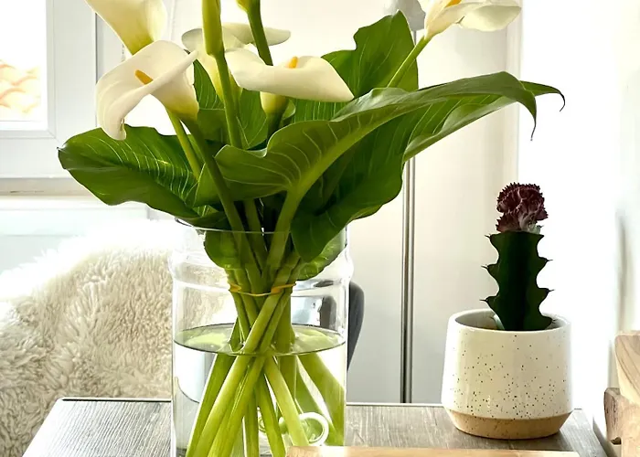 Appartamento Sunny *